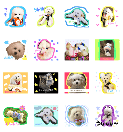 Candy chan life Candy chan life