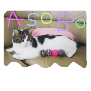 pupuiseveryday pupuiseveryday