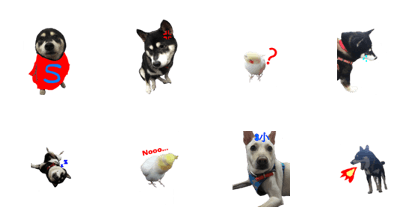 ponyo ,tutu and ricky