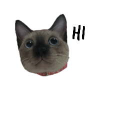 Chai family & friends