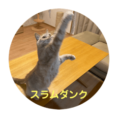 matsu_20210726182519