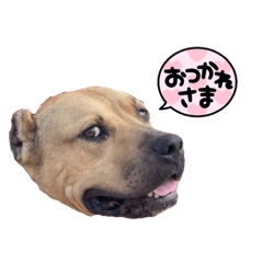 suzu_20210726184132
