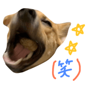 ponta stamp 4 ponta stamp 4