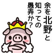 Kitano Sticker Kitano Sticker