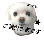 Caru&Io Family Caru&Io Family