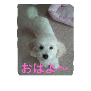 maiduruben kuri maiduruben kuri