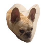 joejoe1059 joejoe1059