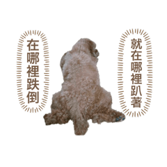 糖糖 紫紫 1