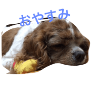 cava stamp cava stamp