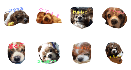 cava stamp cava stamp