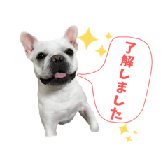 daifuku_stamp2!