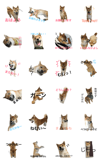 SHIBADOG GANMO SHIBADOG GANMO