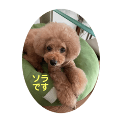 Saya_20210726234236