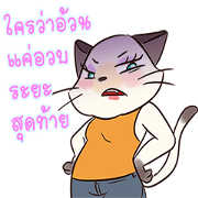 Meawnoi Maomoi session2