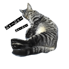jun0001