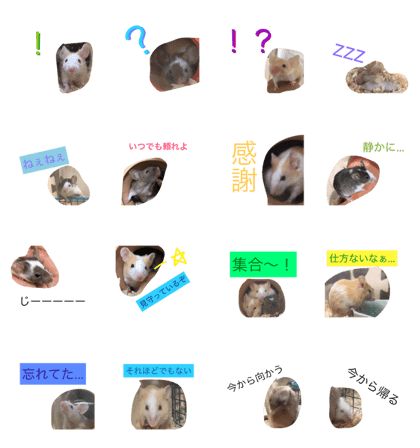 Our panda mouse 4 Our panda mouse 4