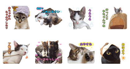 House of FUKKA MAMA2 House of FUKKA MAMA2