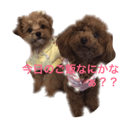 mami&gammo mami&gammo