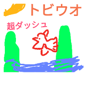 White cat photogr & The animals White cat photogr & The animals