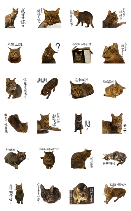 Mr.Creepy #1 Mr.Creepy #1