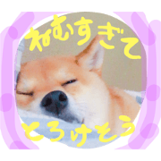 Shiba Dog Sleeping sticker Shiba Dog Sleeping sticker