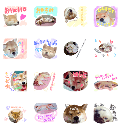 Shiba Dog Sleeping sticker Shiba Dog Sleeping sticker