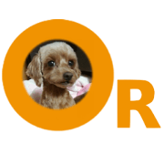 Kimi also family forever became a star 0 Kimi also family forever became a star 0