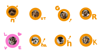 Kimi also family forever became a star 0 Kimi also family forever became a star 0