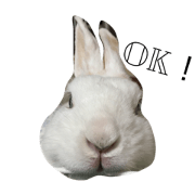 pi-chan&shimimin2 pi-chan&shimimin2