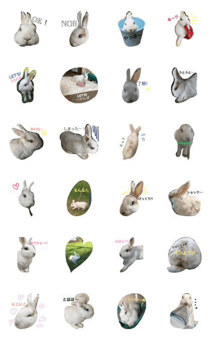 pi-chan&shimimin2 pi-chan&shimimin2