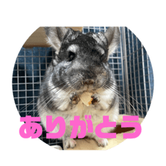 Yun-Poco