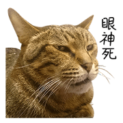 Mr.Creepy #2 Mr.Creepy #2