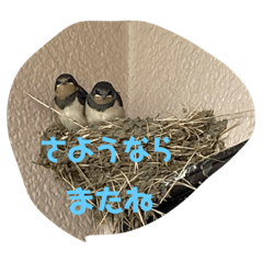 akiko_20210727114234