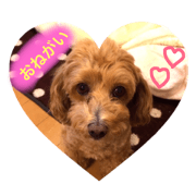 Mickey Coron Mickey Coron