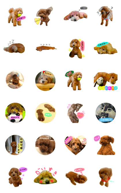 Mickey Coron Mickey Coron