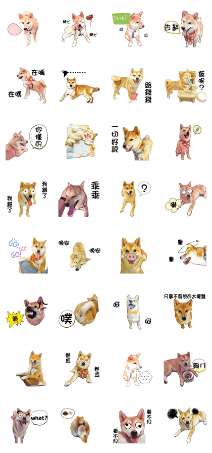 Chai dog- Pound Chai dog- Pound