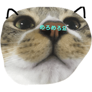 pororo dog and cat pororo dog and cat