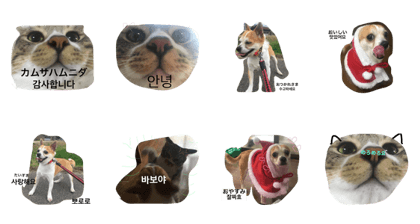 pororo dog and cat pororo dog and cat