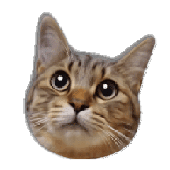 ゆずもも 猫スタンプ Line スタンプ Line Store ゆずもも 猫スタンプ Line スタンプ Line Store