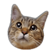 YUZU & MOMO CATS STICKER YUZU & MOMO CATS STICKER