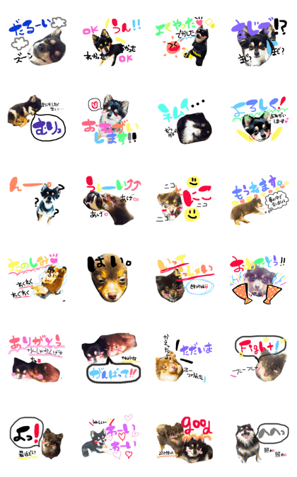 poco&tsunastanp2 poco&tsunastanp2