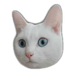 ゆずもも 猫スタンプ2 Line スタンプ Line Store ゆずもも 猫スタンプ2 Line スタンプ Line Store