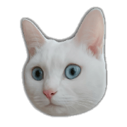 YUZU & MOMO CATS STICKER[2]