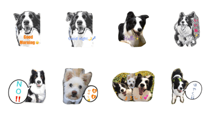 U^o^U(Koro, Osero, Uro) U^o^U(Koro, Osero, Uro)