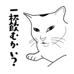 毎日福ちゃん　パート２