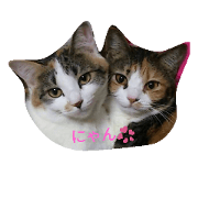 Lovely neko Lovely neko