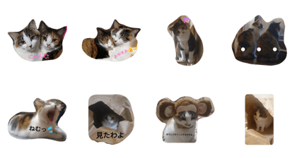 Lovely neko Lovely neko