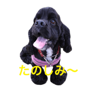 umi&rita part2 umi&rita part2