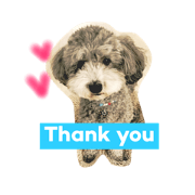 looooove dogs looooove dogs