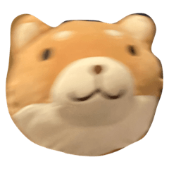 ponzu_20210724212510